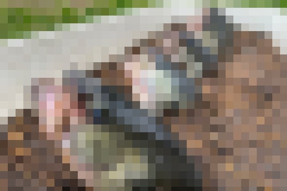 【悲報】おーちゃんねるさんと釣り人、レスバ開始