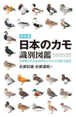 客層 トレカ宝くじ 募金 スマホアチアチ 大金ゲットに関連した画像-01