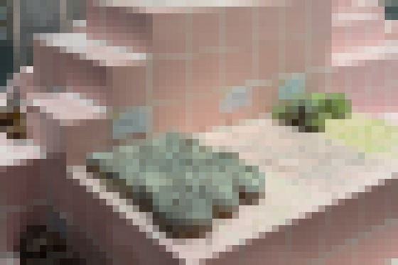 【画像】若者に大人気のドーナツ屋さん、酷いすぎる見た目の陳列で大炎上ｗｗｗｗｗ