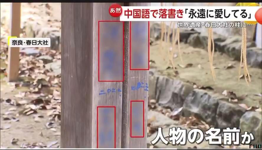 本殿 春日大社 恩 落書き りゅうに関連した画像-04