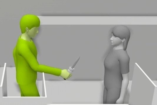 【悲報】ポケセン殺人犯、涙を流しながら元カノを刺していた????