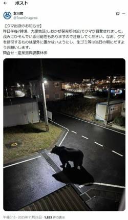 画像 茂み フェイク 生成 女川町に関連した画像-01