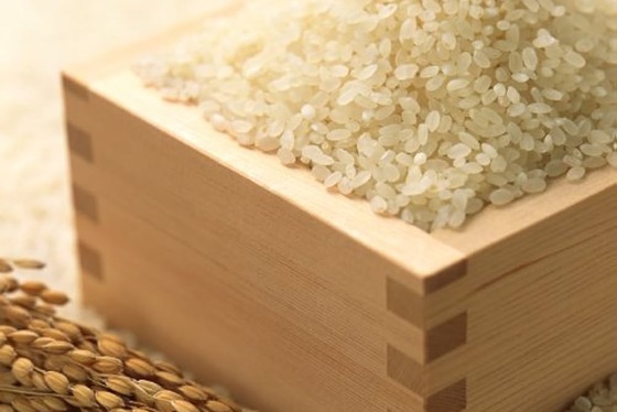 【朗報】おこめ券「500円で買えて440円のお米と交換出来ます♥」