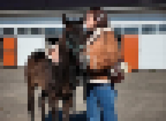 【朗報】有名牧場の仔馬への暴行事案　→紗栄子が仔馬の親子を2000万円で購入して保護