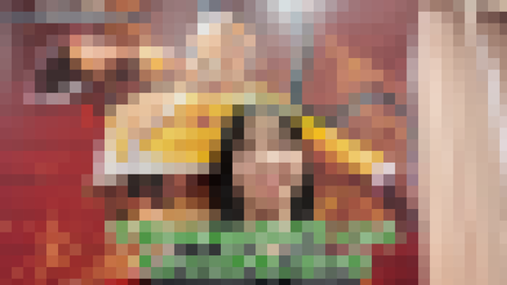 【朗報動画】スト6の女子高生プレーヤー、ガチｗｗｗｗｗ