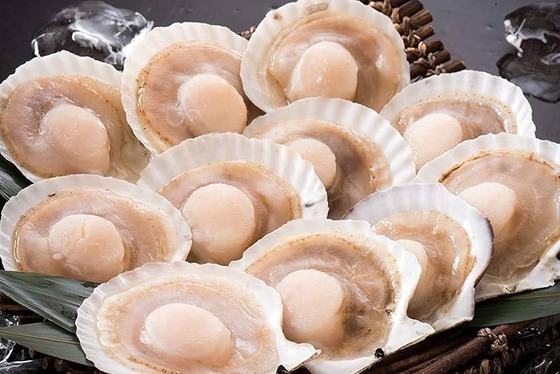 日本政府、ホタテ業者への支援を検討????