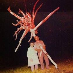 【画像】ゾッとする！恐怖の心霊写真、その真実に迫る