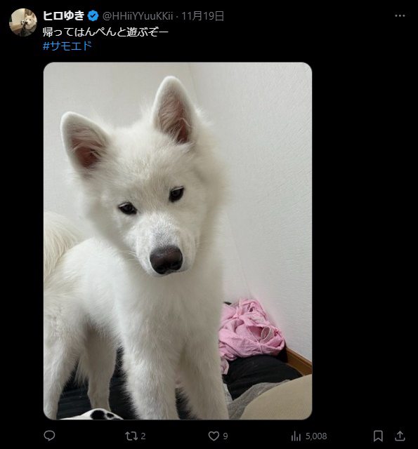 重体 すすきの すすき 犯行 愛犬はんぺんに関連した画像-05