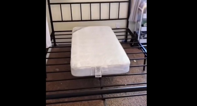 【動画】TEMUの商品を購入したアメリカ人ｗｗｗｗｗｗｗｗｗｗｗｗｗ