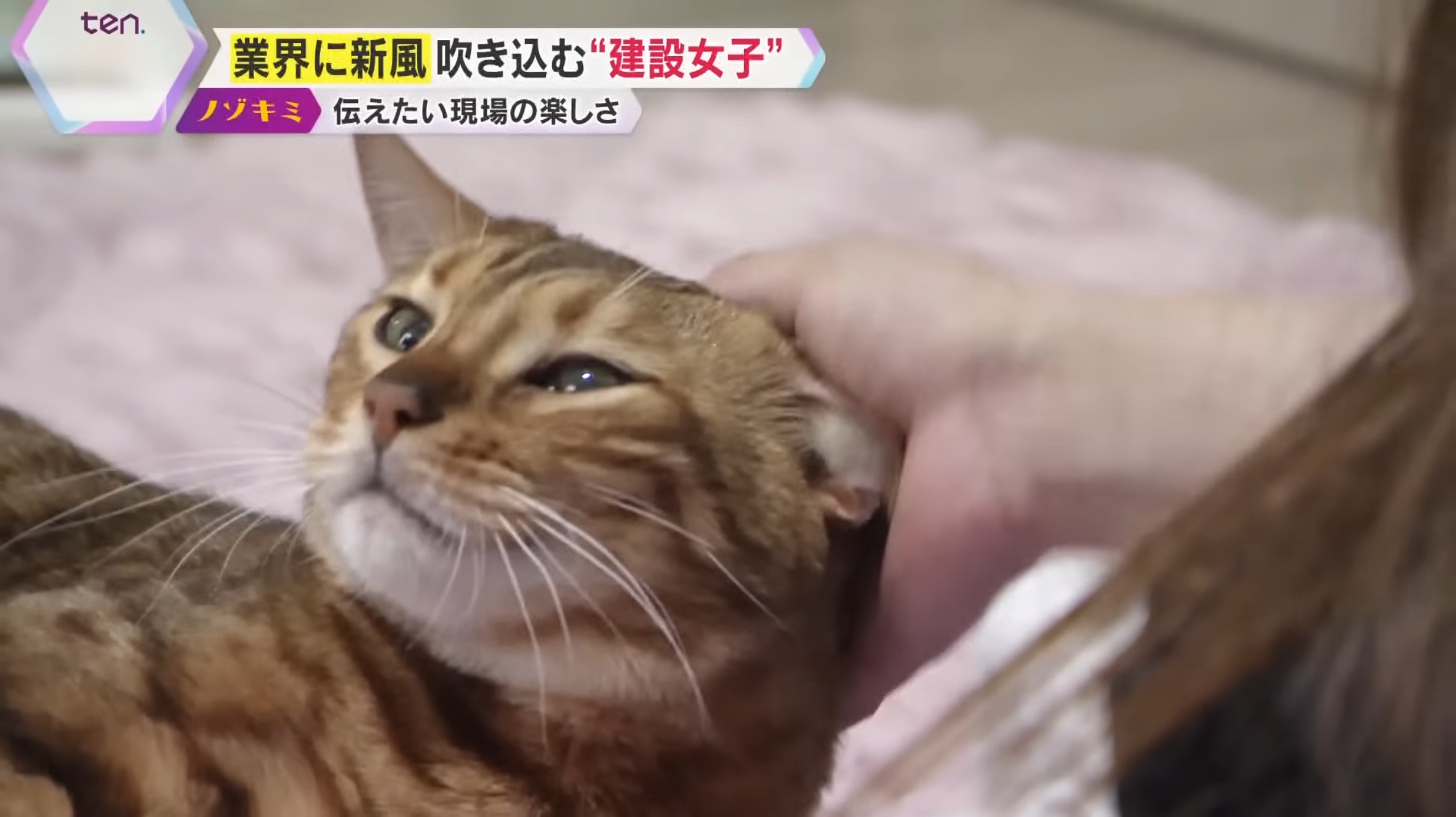 画像 意志 工藤静香歌 ダンプ女子 カラオケに関連した画像-06