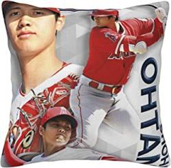 成金 メンタル 大谷 一夫多妻 しゃーないに関連した画像-01