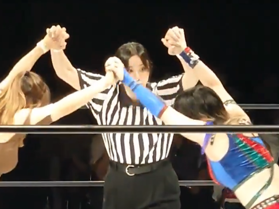 【悲報】女子プロレスさん、もうめちゃくちゃ【Pickup】