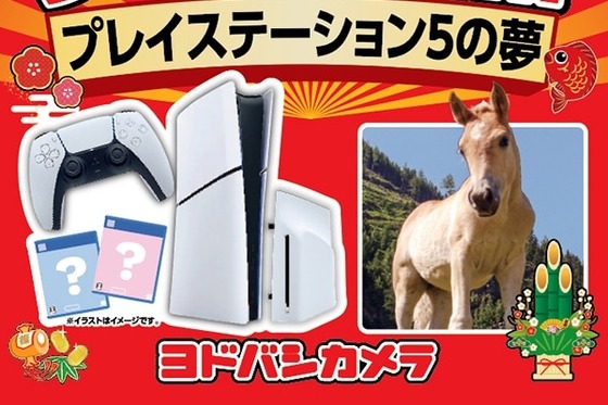 ヨドバシPS5福袋（6万円）←こいつの中身予想