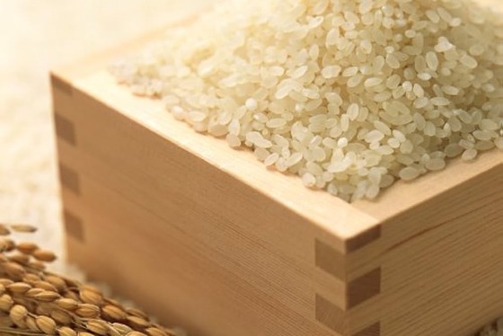 コメ農家「こんなに高くなっちゃってごめんなさい」　客に謝りながら販売