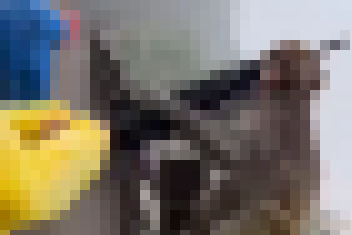 【動画】AIかどうか意見が真っ二つに分かれる神動画が公開されるｗｗｗｗｗｗｗｗ