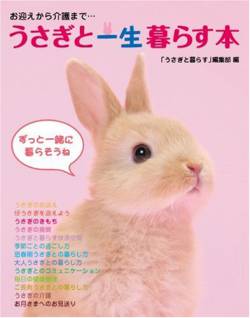 おととし うさぎ飼おー 雌 ソファー 茶色に関連した画像-01