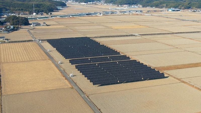 【速報】政府、メガソーラー支援廃止を正式決定
