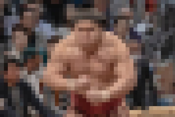 【画像】力士、ムキムキだった