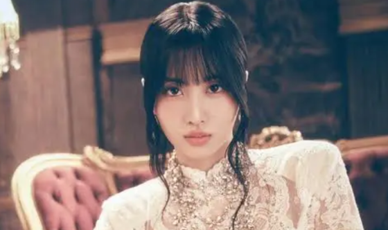 【画像】twiceのモモさん、どうやって着たのか分からない衣装を着てしまう