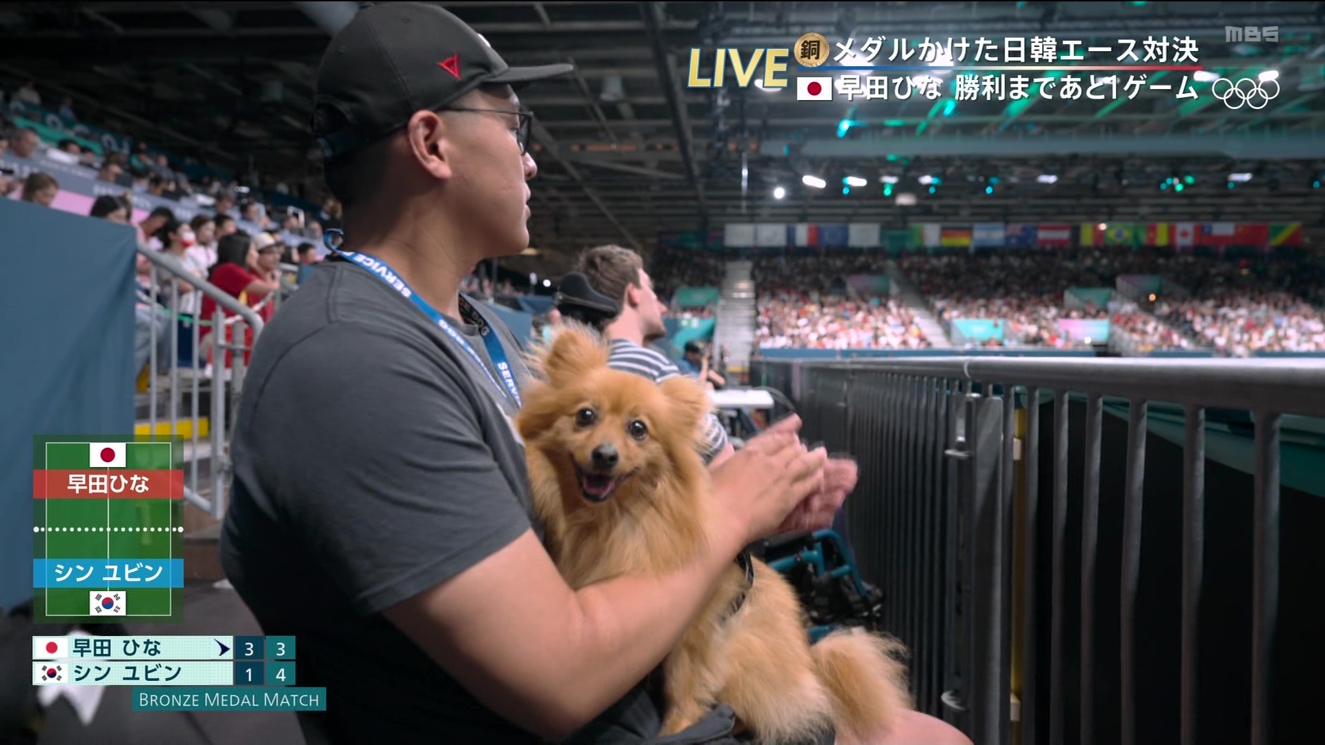 架け橋 銅 実質頂上決戦 エース ひなに関連した画像-06