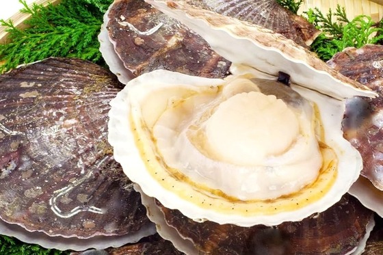 【朗報】ホタテ業者、全く効いてなかった！「ほとんど国内に流してるのでそこまで困りません」