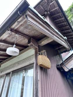 【画像】スズメバチ撃退の秘策！今年は効果絶大な対策で安心