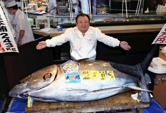 【悲報】一番マグロ5億円　二番マグロ275万円