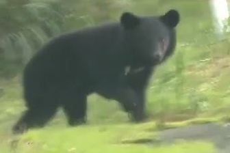 【朗報】秋田市、公務員ハンターを募集