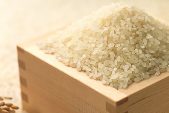 迫りくるコメ価格「暴落のXデー」