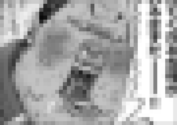 【画像】男版「みいちゃん」がコチラｗｗｗｗｗｗｗｗ