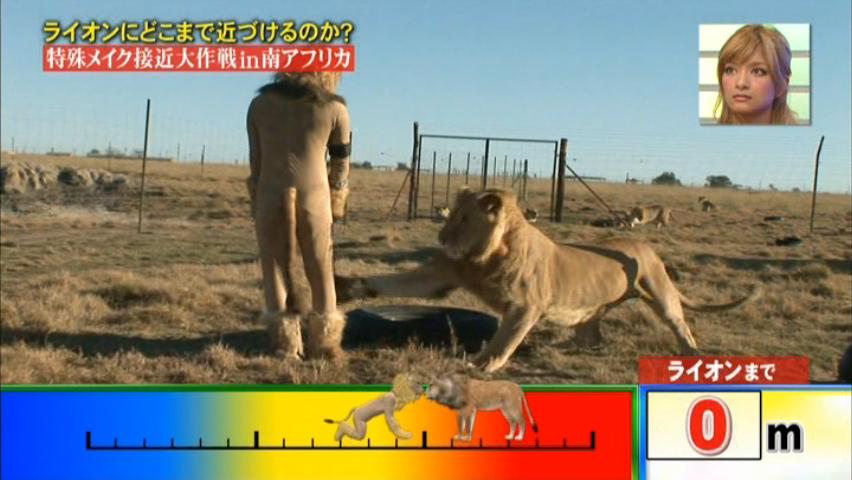 溺死寸前 殺人未遂 ディレクター ダチョウクラブ タレントに関連した画像-04