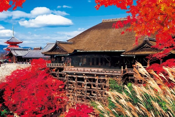 京都のホテル、大暴落wwwwwwwwwwwww