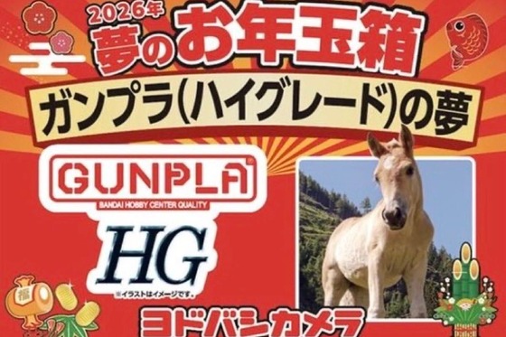 【画像】ガンプラ福袋、エヴァっぽい何かの詰め合わせになってしまう