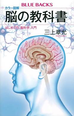 脳幹 内服薬 脳幹出血 対症療法 動脈硬化に関連した画像-01