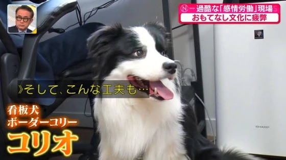 【速報】退職代行「モームリ」運営会社に警視庁が家宅捜索ｗｗｗｗｗｗｗｗｗｗｗｗｗｗｗｗｗｗ