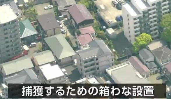 【悲報】クマさんお目覚め、仙台市の中心部近くに居座る