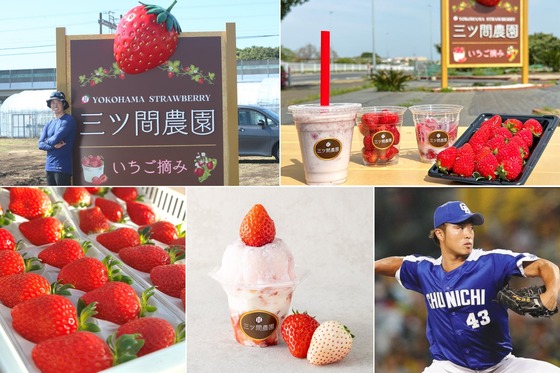 【悲報】イチゴ農園を営む元プロ野球選手、サイン転売カスに狙われて口コミに低評価を受けてしまう