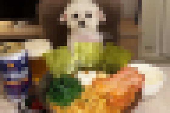 【画像】このラーメンが生成AIによるものなのかどうかで議論が起こる