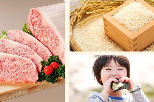 【悲報】ふるさと納税またまた大改悪