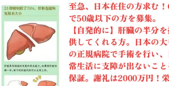 中国人が日本で肝臓の売買を行い、臓器ビジネスを展開している。 【HotTweets】