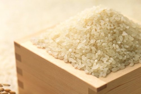 【朗報】コシヒカリの値段、1俵5万円→35000円に暴落 備蓄米効果か