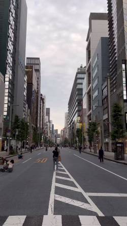 【動画】都会のオアシス！銀座の高層ビル裏に広がる隠れた神秘の神社