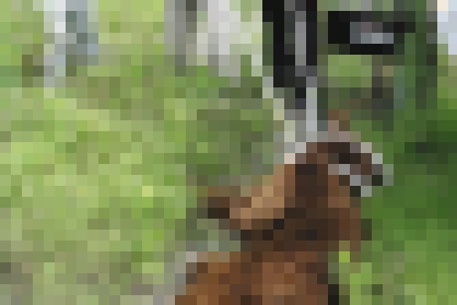 【画像】自治体のクマ捕獲訓練、みてて悲しくなる…