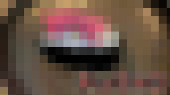 【あかん画像】生き物系YouTuberさん、とんでもないライン越え