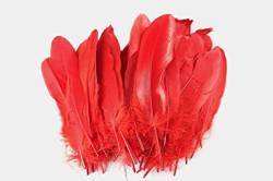 町会 本紙 コエチカ 集金 牧に関連した画像-01