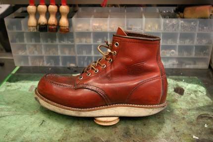 アイリッシュセッターをベックマン仕様にカスタムする Ampersand