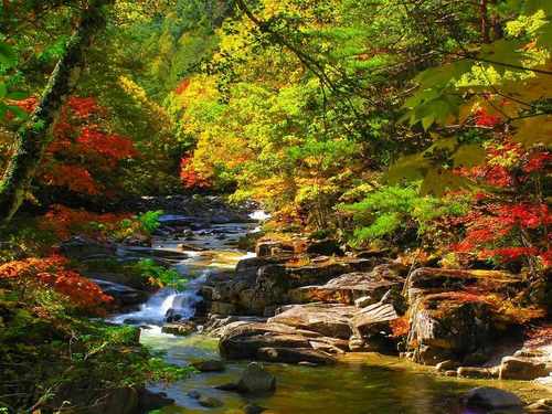 日本の綺麗な画像を貼っていこう-020