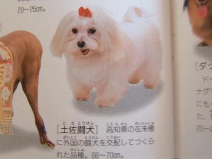 笑える画像貼ろうぜwwwwww-003
