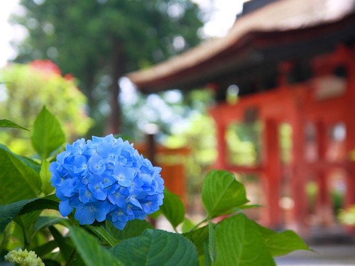 日本の綺麗な画像を貼っていこう-033_1