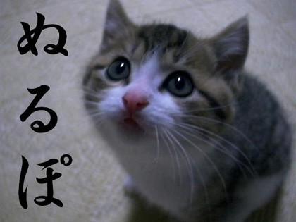 可愛すぎて萌え死ぬってぐらい可愛い画像-143